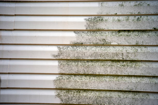 Best Attic Cleanout  in Schuylerville, NY