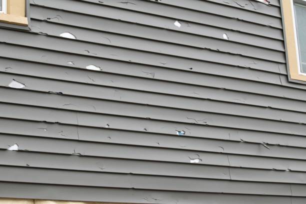 Best Demolition Debris Removal  in Schuylerville, NY